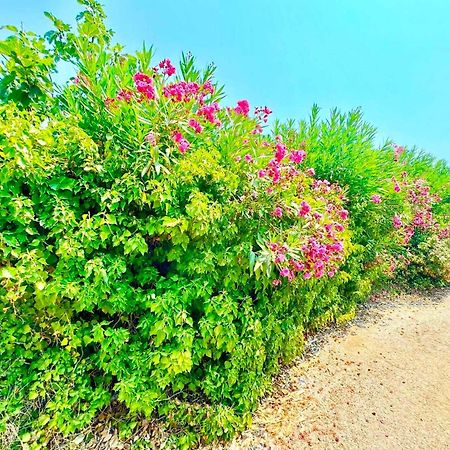 Tetraktys Estate Beachside Υδωρ Agios Matthaios  Exterior photo