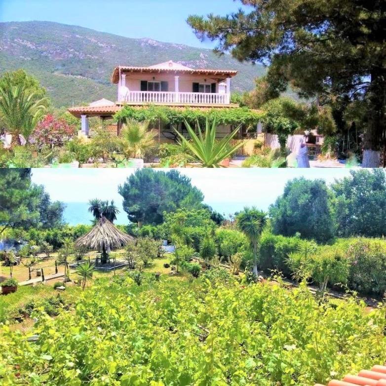 Tetraktys Estate Beachside Υδωρ Agios Matthaios  Exterior photo