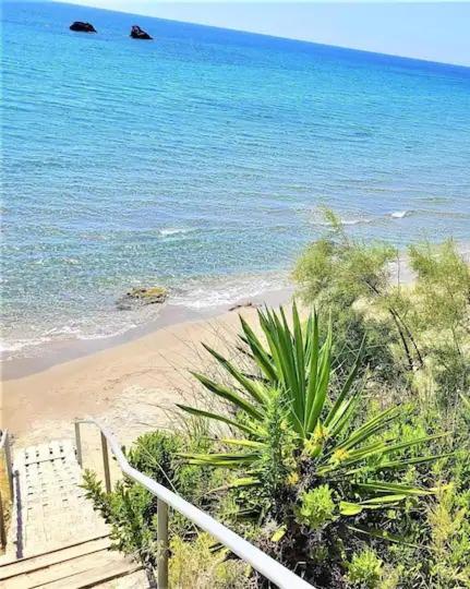 Tetraktys Estate Beachside Υδωρ Agios Matthaios  Exterior photo