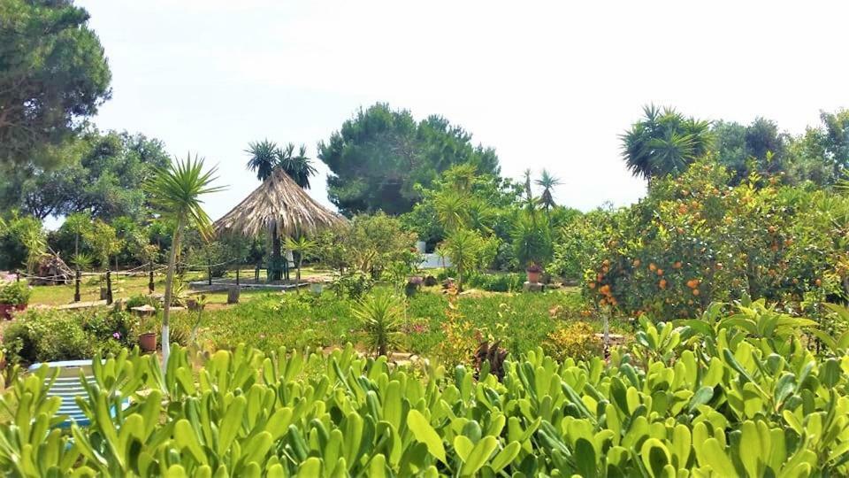 Tetraktys Estate Beachside Υδωρ Agios Matthaios  Exterior photo